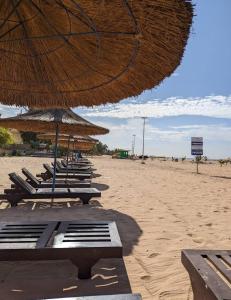 a row of chairs and umbrellas on a beach at Villa My Moon - en bord de mer au coeur de Saly in Saly Portudal