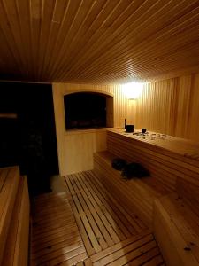 un cane nero seduto in una sauna di legno di Ozoli - Pirts / Viesunams 