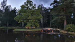 a boat in a lake with lights on it at Ozoli - Pirts / Viesunams 