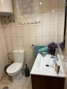 uma casa de banho com um WC e um lavatório em Moderno apartamento al lado del mar em Tacoronte