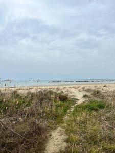 uma estrada de terra que leva a uma praia arenosa em Simpatico appartamento autonomo sul mare em Termoli