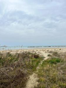 a dirt road leading to a sandy beach at Simpatico appartamento autonomo sul mare in Termoli