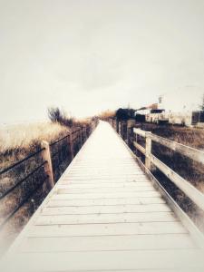 Naturlandskabet i nærheden af lejligheden