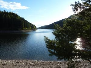 Gallery image of Hotel Pineta in Baselga di Pinè +67 photos