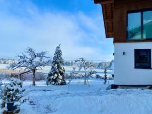 un patio cubierto de nieve con árboles y un edificio en Seelodge, en Bad Bayersoien