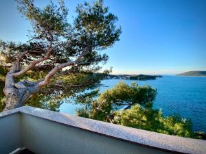 a view of the ocean from a balcony with a tree at Apartements and rooms next to the Sea - Belveder Rab in Rab