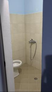 een badkamer met een toilet en een douche bij Guest house Andersoni Dhoma plazhi Andersoni in (( Shën Ded Gjoni ))