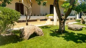 Φωτογραφία από το άλμπουμ του Centro Residenziale Le Canne σε San Teodoro