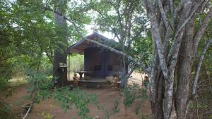 a small house in the middle of a forest at The Campers Lodge Yala in Yala