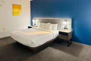 a large bed in a hotel room with a blue wall at Comfort Inn & Suites Wylie in Wylie