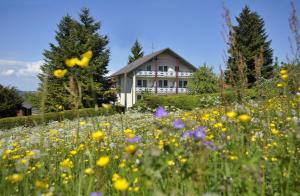 un campo de flores frente a una casa en Pension Fohrenberg, en Ewattingen