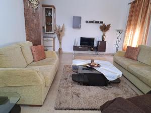 sala de estar con 2 sofás y TV en Guesthouse Aelia, en Kato Loutraki
