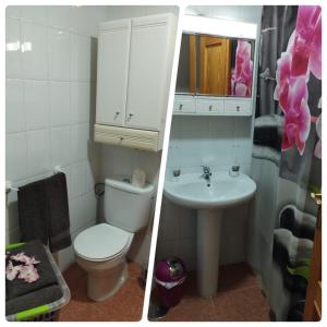 サンタ・クルス・デ・ラ・パルマにあるAVENIDA EL PUENTE SATI 4 Bのバスルーム(トイレ、洗面台付)の写真2枚