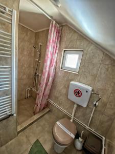 a small bathroom with a toilet and a shower at Kuca za odmor ,,Balkan” in Crni Vrh