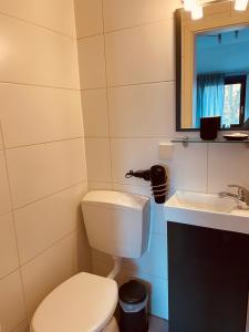 bagno con servizi igienici e lavandino di Zum Deutschen Heinrich a Gifhorn