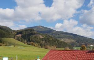 vistas a una montaña con techo rojo en Ferienwohnung in Aflenz Kurort en Aflenz Kurort