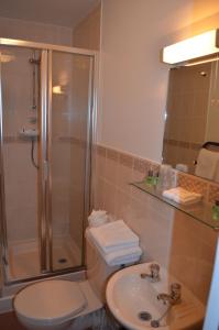 a bathroom with a shower and a toilet and a sink at Les Cotils in Saint Peter Port