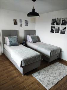 Un dormitorio con dos camas y una alfombra. en Apartman Ela, en Banja Luka
