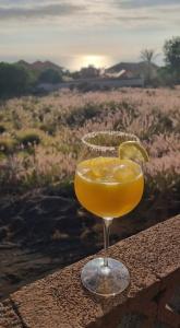 a glass of orange juice sitting on a table at Casa Sandra en Las Norias Todoque con Wi-Fi in Los Llanos de Aridane