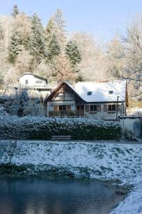 una casa está cubierta de nieve junto a un estanque en Gite Staufen, en Thann