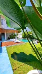 a view of a house with a large green plant at Guru Canggu in Canggu