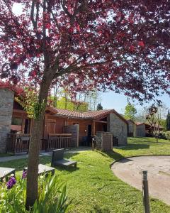 Gallery image of Le Hameau du Comté de Foix in Mercus-Garrabet