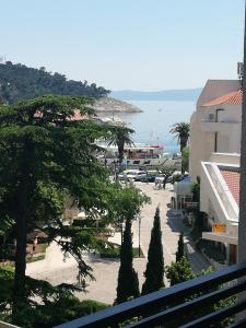 a view of a parking lot with palm trees and the ocean at Laurus Makarska Accommodation in Makarska