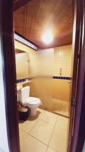 a bathroom with a toilet and a shower at Albacora Praia Hotel in Japaratinga