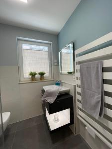 a bathroom with a sink and a toilet and a window at Villa Am Meer Glowe Apartment EG in Glowe