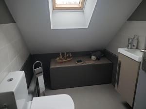 une petite salle de bains mansardée avec toilettes et fenêtre. dans l'établissement Ile Cigogne, à Fouesnant