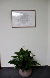 Fotografie z fotogalerie ubytování Le Tre Punte B&B v destinaci Avola