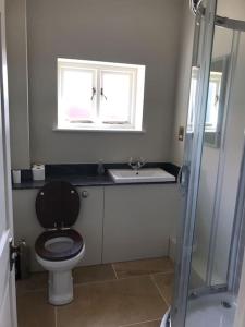a bathroom with a toilet and a sink and a window at The Stables in Colchester