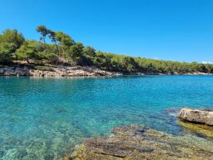 a large body of water with trees in the background at Villa Agava in Vrboska