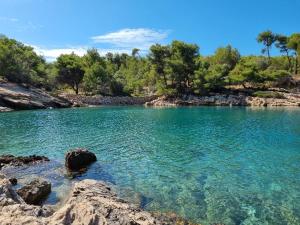 a large body of water with trees and rocks at Villa Agava in Vrboska