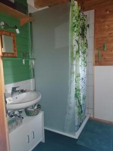 a bathroom with a sink and a shower at Hof Idarwald in Horbruch