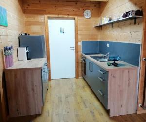 a kitchen with a refrigerator and a counter with a sink at Hof Idarwald in Horbruch