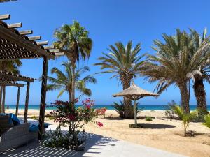 a beach with palm trees and the ocean at Vila Mare - Praia de Chaves frontline in Cabeçadas