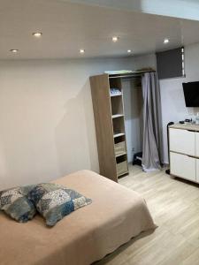 - une chambre avec un lit et 2 oreillers dans l'établissement Agréable logement, bien situé, à Schœlcher
