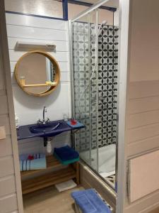 a bathroom with a sink and a shower at Agréable logement, bien situé in Schœlcher