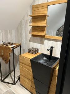 W łazience znajduje się czarna umywalka i lustro. w obiekcie BURON FRANCk w mieście Aubrac