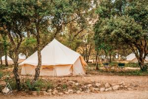 Saint-Michel-lʼObservatoireLodg'ing Nature Camp Luberon的树木繁茂的田野上的大型白色帐篷