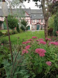 a garden with pink flowers in front of a house at Hof Idarwald in Horbruch