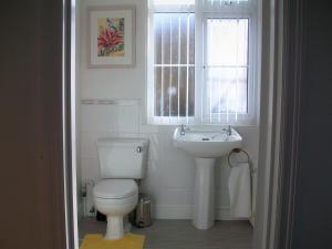 a bathroom with a toilet and a sink and a window at Beech Tree in Bury Saint Edmunds