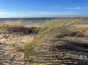 Fotografie z fotogalerie ubytování Gezellig vakantiehuisje op loopafstand van de duinen en het betoverende Egmondse strand v destinaci Egmond aan Zee