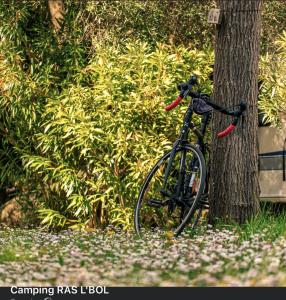 a bike is parked next to a tree at RAS L'BOL in Olmeto