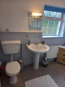 a bathroom with a toilet and a sink at 13 Pearse Tce. in Sligo