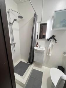 a bathroom with a shower and a toilet and a sink at Studio apartment in Hafnarfjordur in Hafnarfjördur