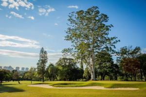 uma árvore num campo de golfe com um verde em Novo, Lindo e pertinho do Shopping em Porto Alegre
