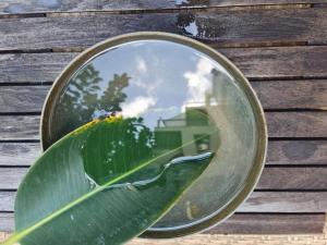 a mirror with a reflection of a house and a plant at Lovely garden Flat in Tel Aviv in Tel Aviv