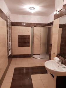 bagno con doccia e lavandino di Apartment & Rooms at Strusia street a Poznań